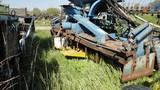Rabewerk